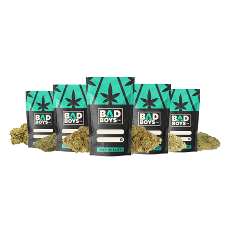 PACK BEST SELLER