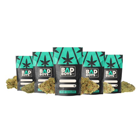 PACK BEST SELLER