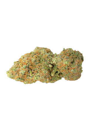 Girl Scout Cookie