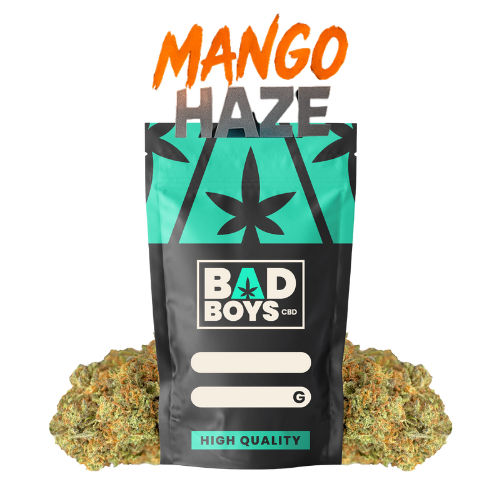 Mango Haze CBD