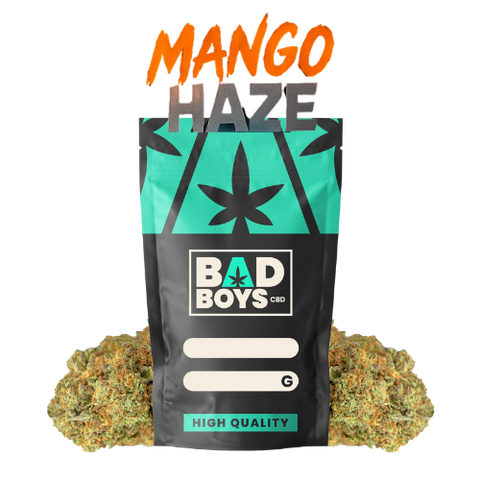 Mango Haze CBD