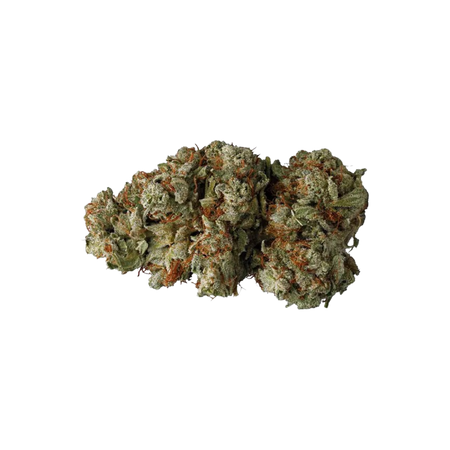 Northern Light CBD
