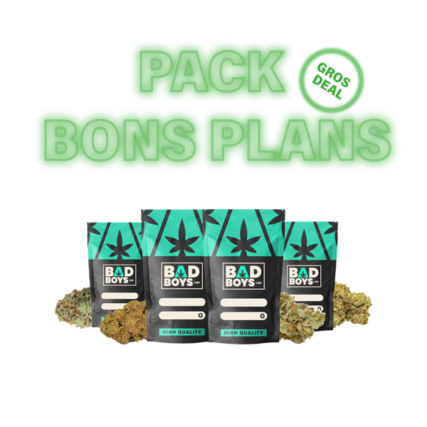 PACK BONS PLANS