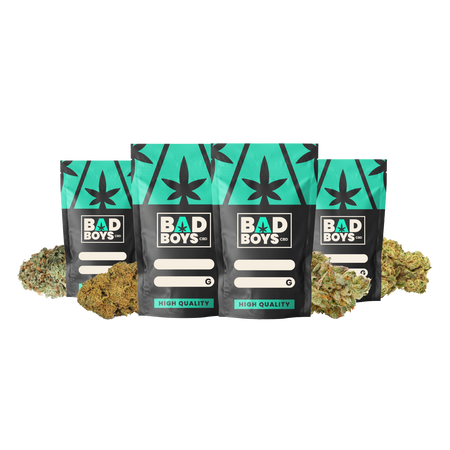 PACK BONS PLANS