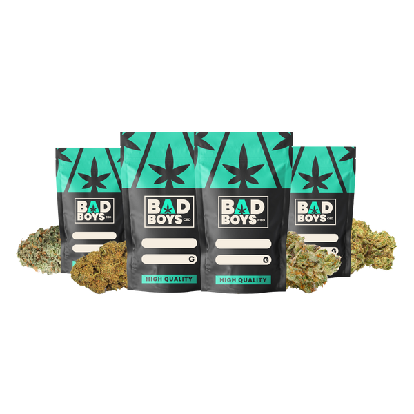 PACK BONS PLANS