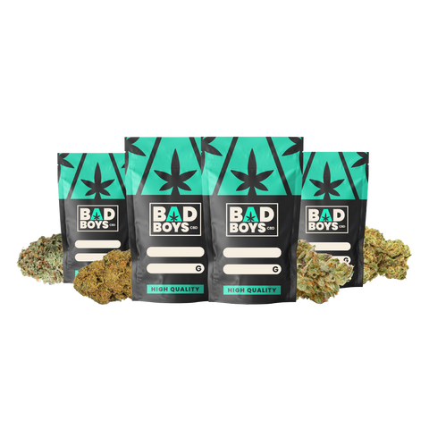 PACK BONS PLANS