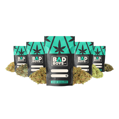 PACK GOURMAND