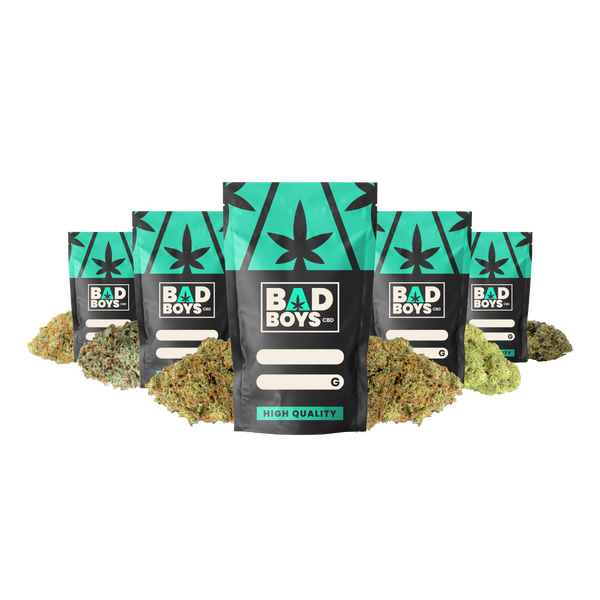 PACK GOURMAND
