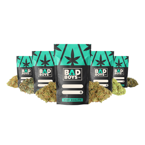 PACK GOURMAND