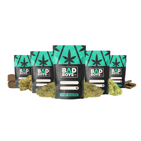 PACK BAD BOYS