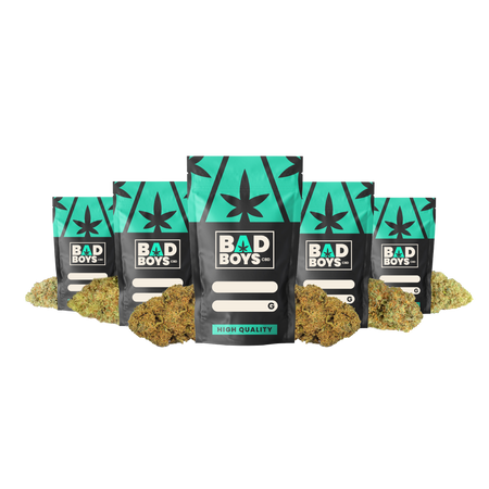 PACK FRUITÉ CBD